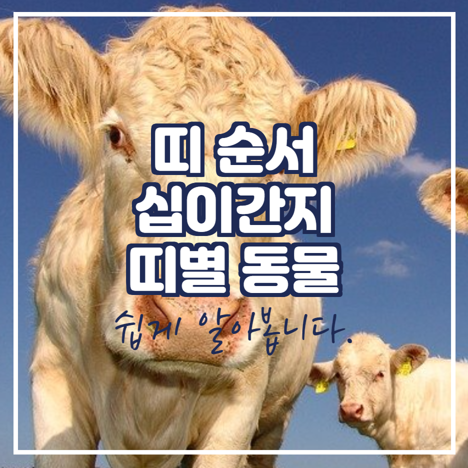  띠 순서 십이간지 알아봅니다.