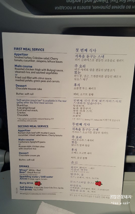  러시아항공(아에로플로트,AEROFLOT)타고 인천-모스크바-부다페스트