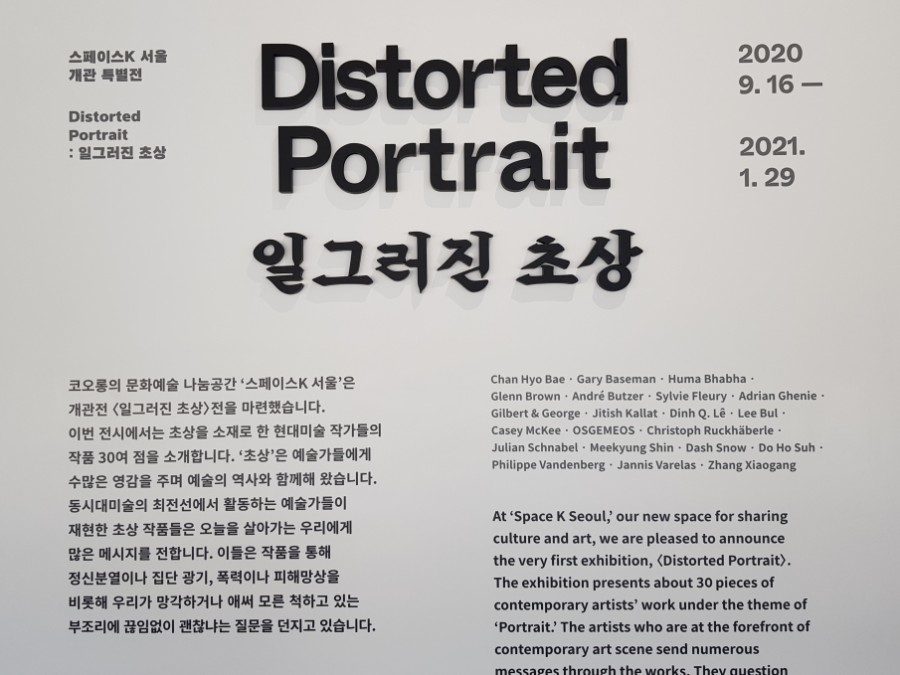 <일그러진 초상 Distorted Portrait> 스페이스K 서울 개관전 28