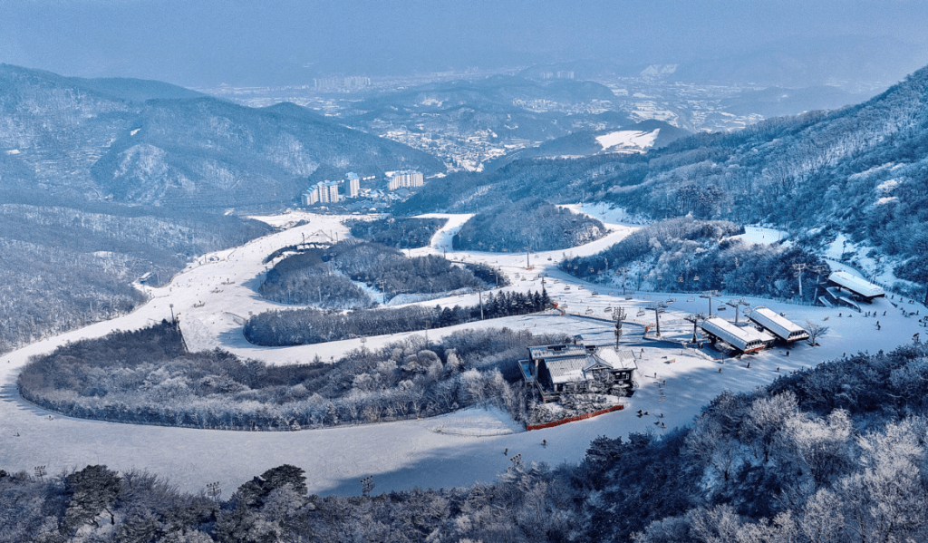 2025 화담숲 봄시즌 예매 바로가기 (100% 사전예약제): 입장권&모노레일 경기도 광주 여행 코스 추천!