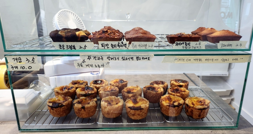 타르트곰 이미지