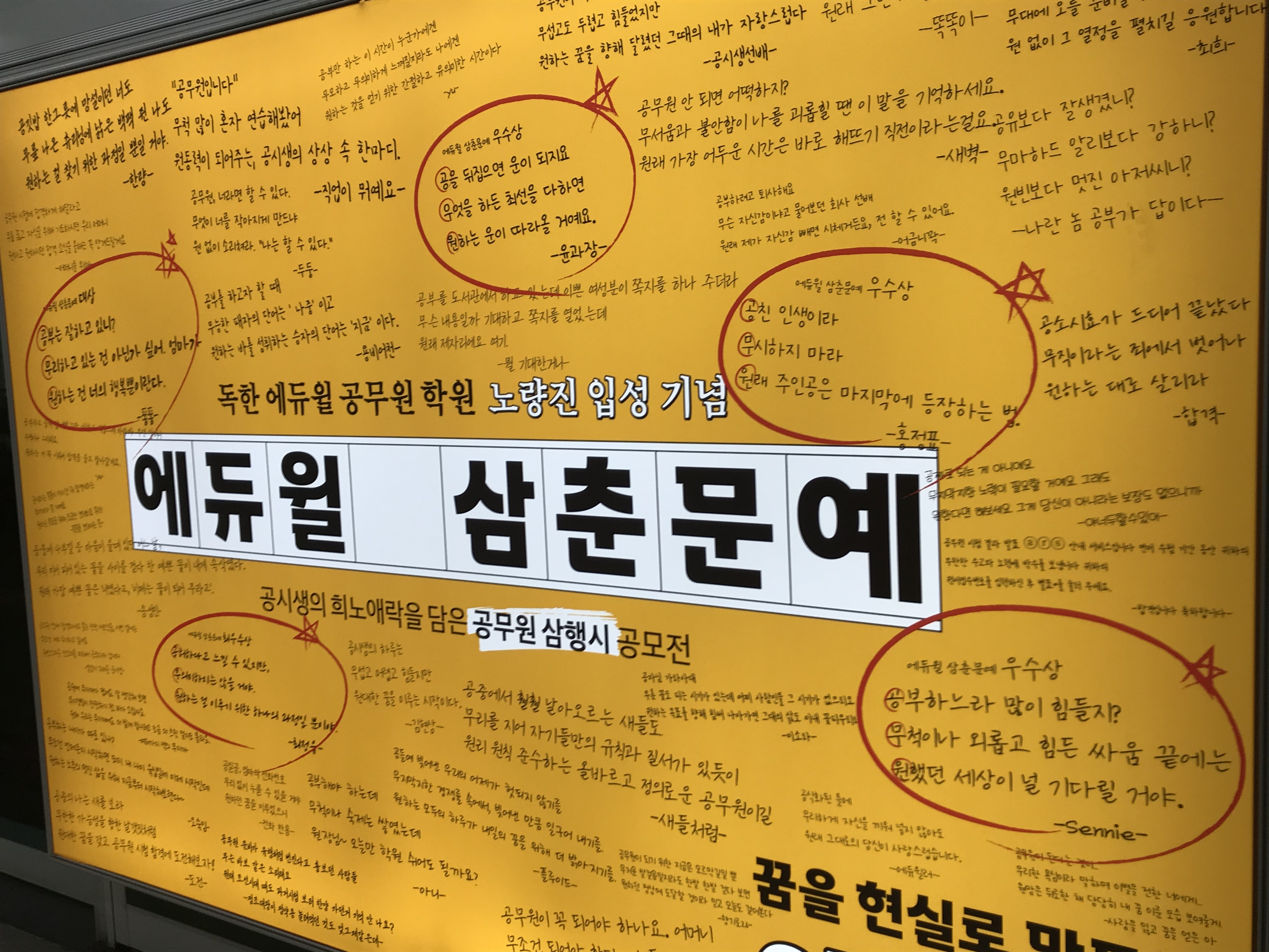 청춘커리 이미지