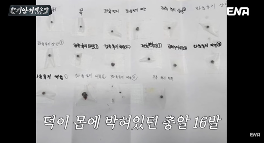 총맞은 채로 구조된 강아지 보고 눈물 흘린 기안84 | 인스티즈