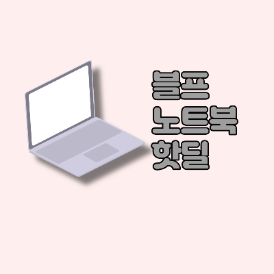  블랙프라이데이 노트북 핫딜