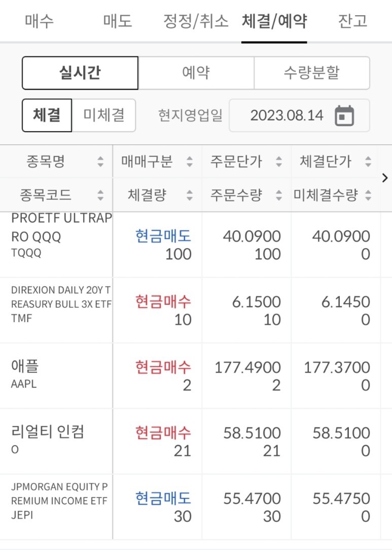 더리얼티 이미지