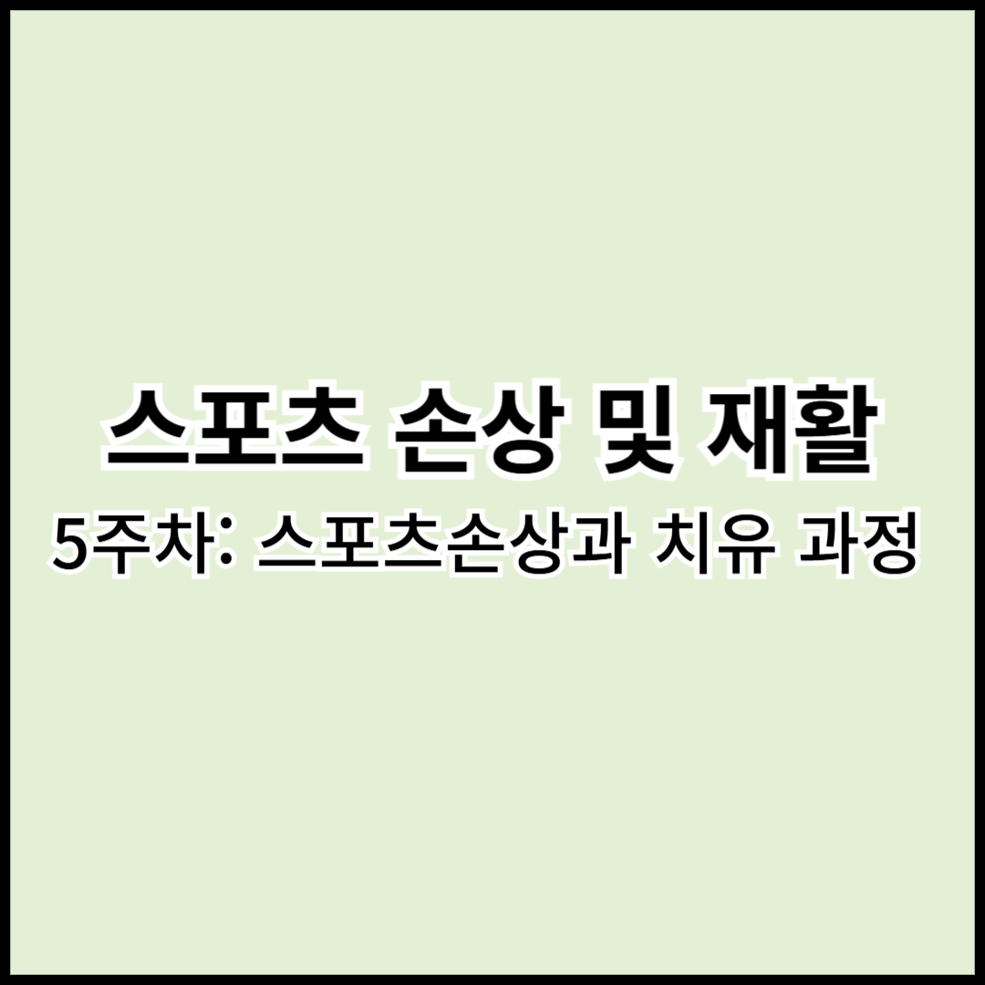 손상및재활 5주차: 스포츠손상과 치유과정