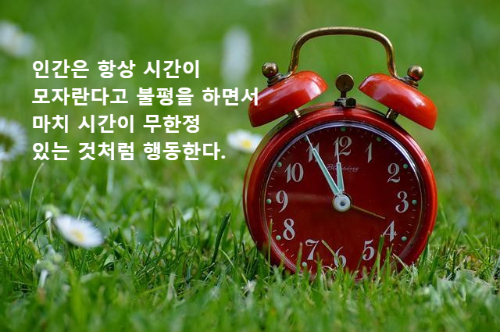 잔디 위 빨간색 알람시계