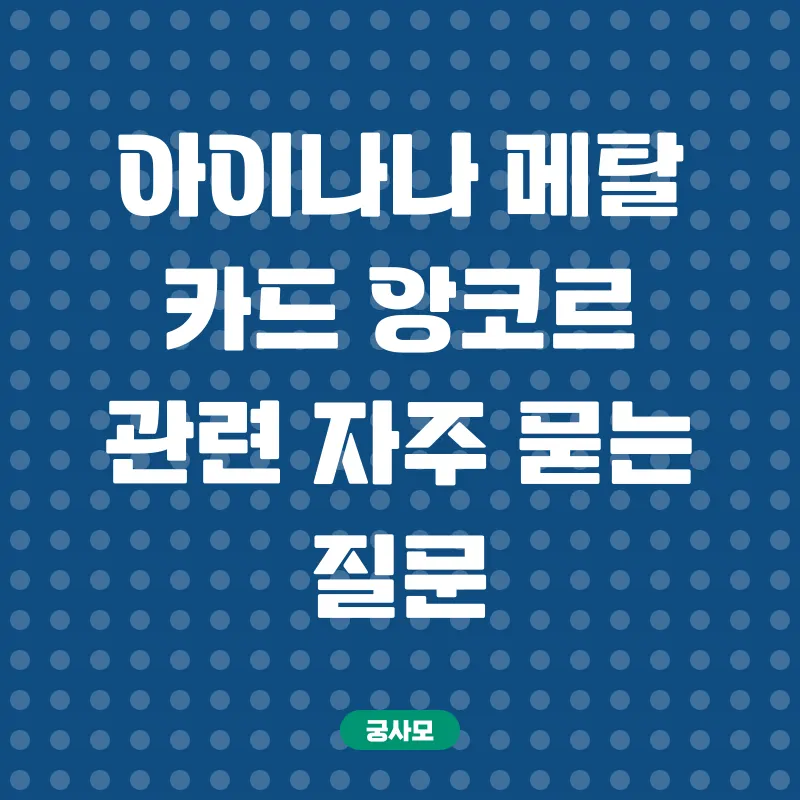 아이나나 메탈 카드 앙코르_4