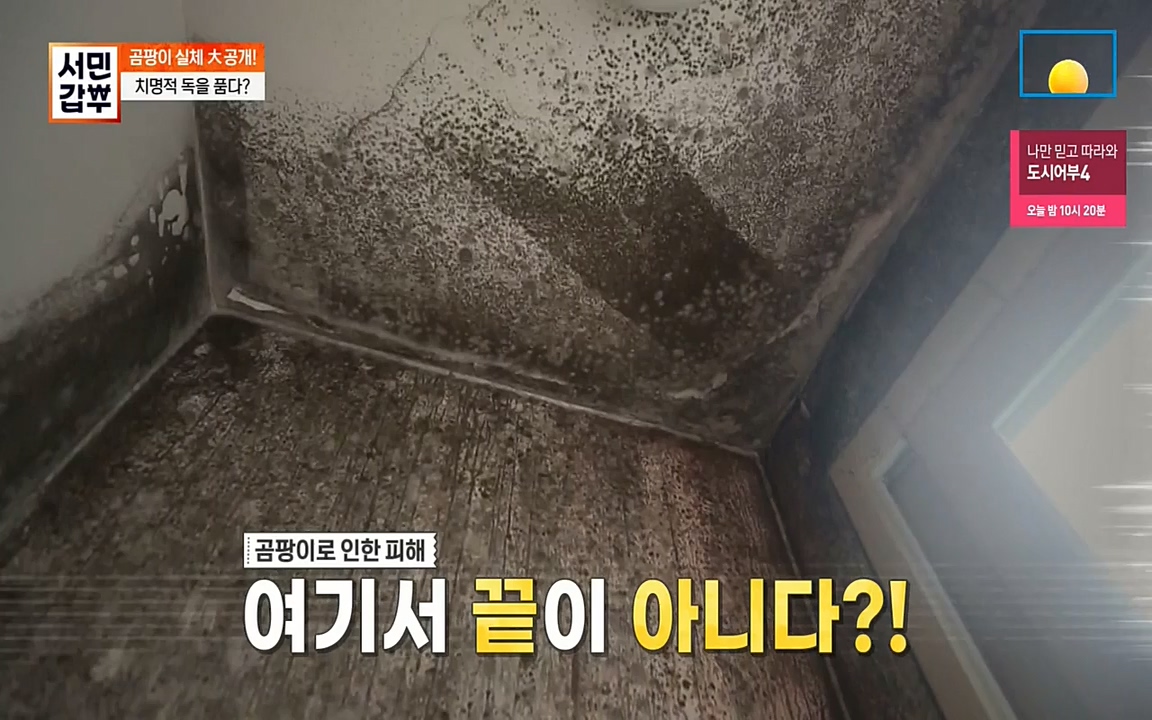 서민 갑부.E393.220724p-NEXT.mp4_20220724_142731.117.jpg