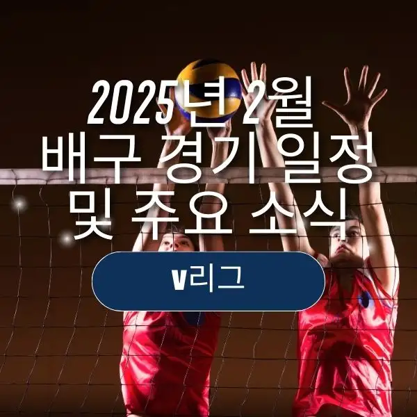 2025년 2월 배구 경기 일정