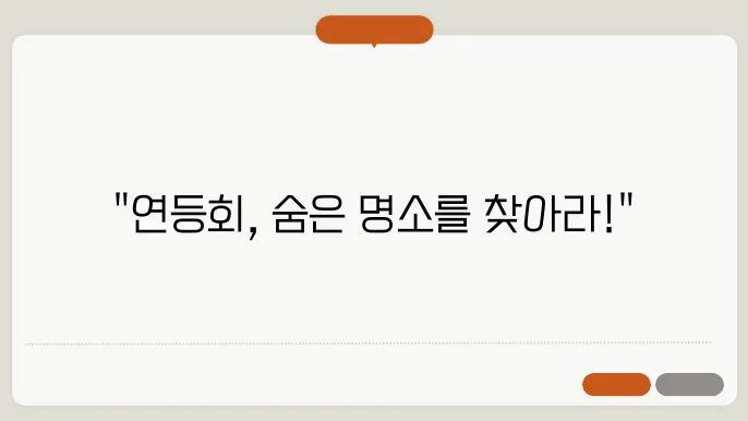 부산 연등회, 전통 행사 속 숨은 명소 추천!