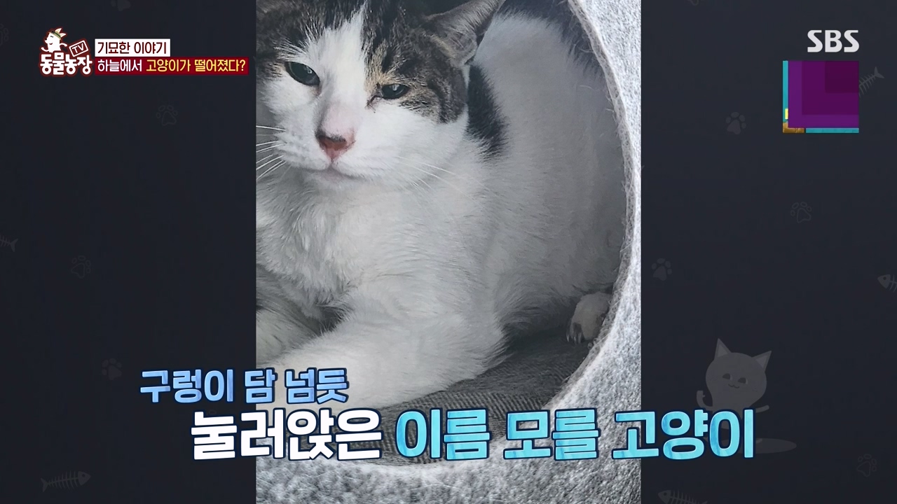 TV 동물농장.E1154.240115p-NEXT.mp4_20240114_184347.436.jpg