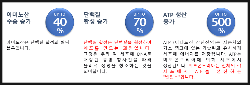 양자의학이란? healy작동원 7