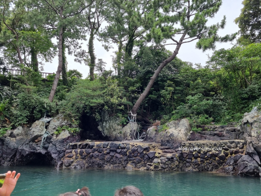 함께라면 전통테우 탑승 후기 제주 쇠소깍 어린 아이들과 15