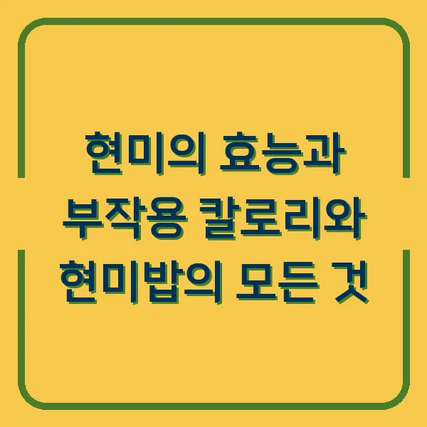 현미의 효능과 부작용 칼로리와 현미밥의 모든 것