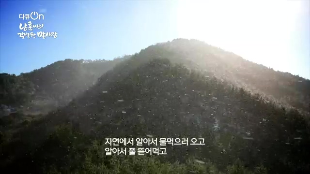[189회] 다큐온 - KBS남훈 씨의 각별한 말 사랑] 연평균 1400여 마리의 경주마들이 경마장을 떠나 퇴역 경주마가 된다.ts_20230330_210959.117.jpg