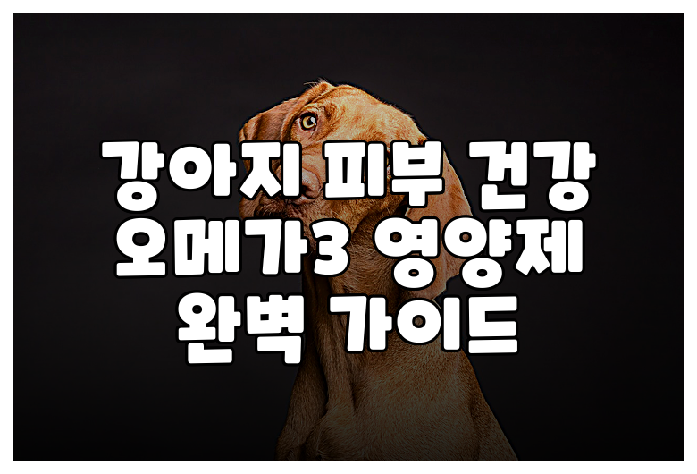 강아지 피부 건강 오메가3 영양제 완벽 가이드