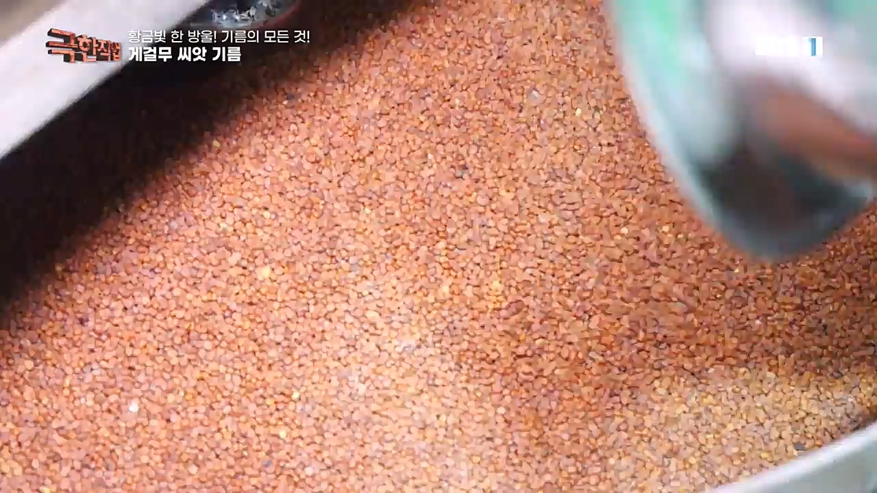 TV - 교육의 중심 EBS황금빛 한 방울! 기름의 모든 것!.mp4_20221031_191548.445.jpg