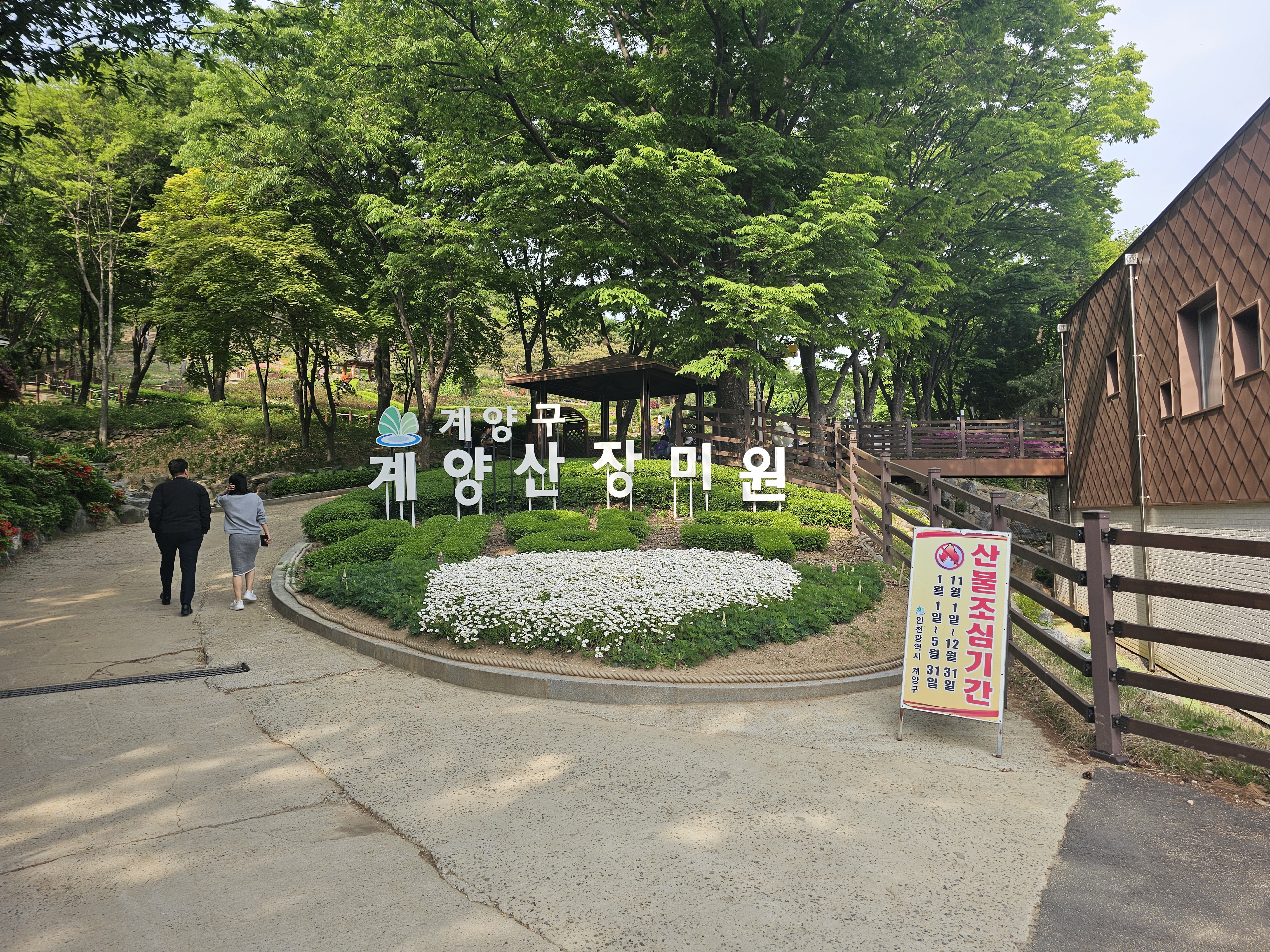 계양산장미원