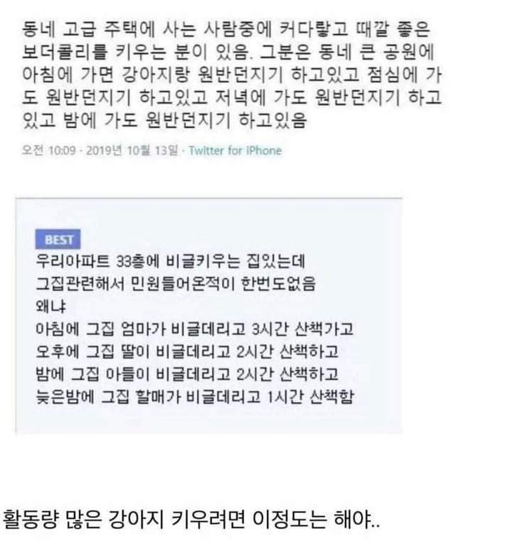  윗집에서 지랄견키우는데 민원이 없는 이유