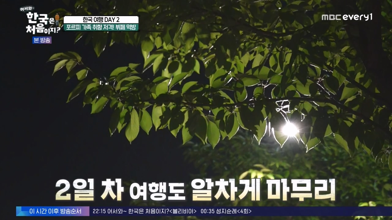 어서와 한국은 처음이지 시즌2.E290.231124p-NEXT.mp4_20231124_205345.229.jpg