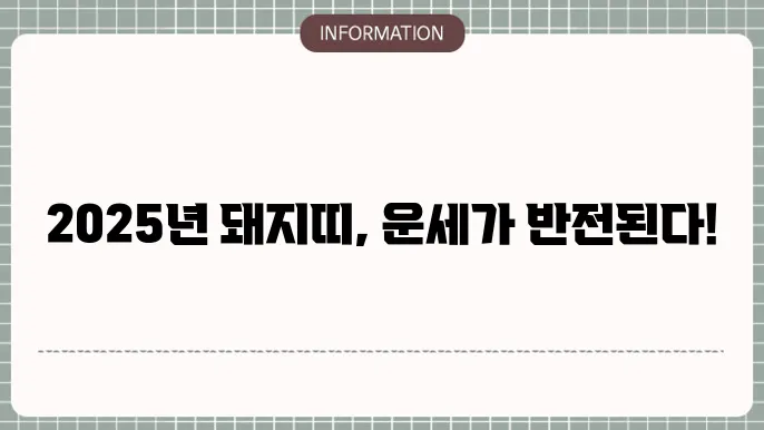 2025년 운세 돼지띠 신년운세
