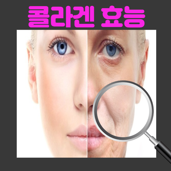 콜라겐 효능 11가지 및 콜라겐 많은 음식