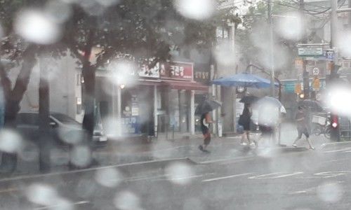 해수욕장 수온 수질 정보