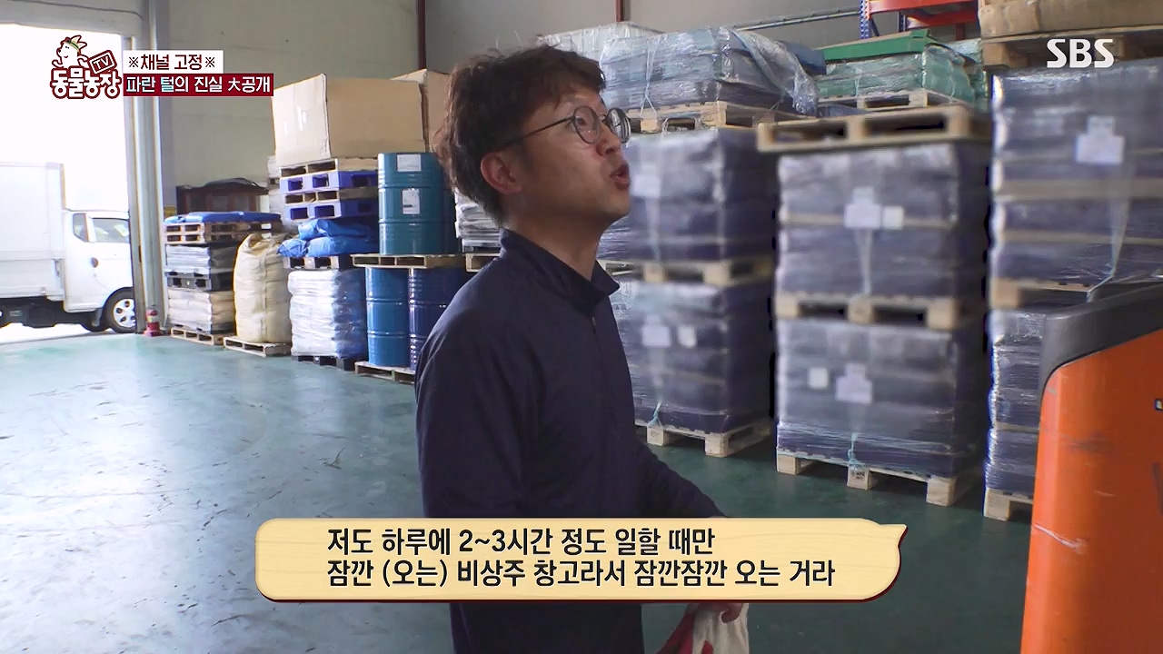 TV 동물농장.E1177.240624p-NEXT.mp4_20240623_163739.754.jpg