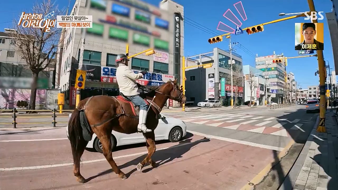 순간포착 세상에 이런일이.E1216.230208p-NEXT.mp4_20230208_194158.195.jpg