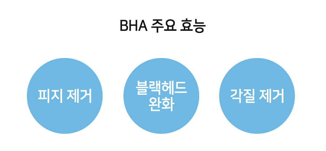 바하의 효능