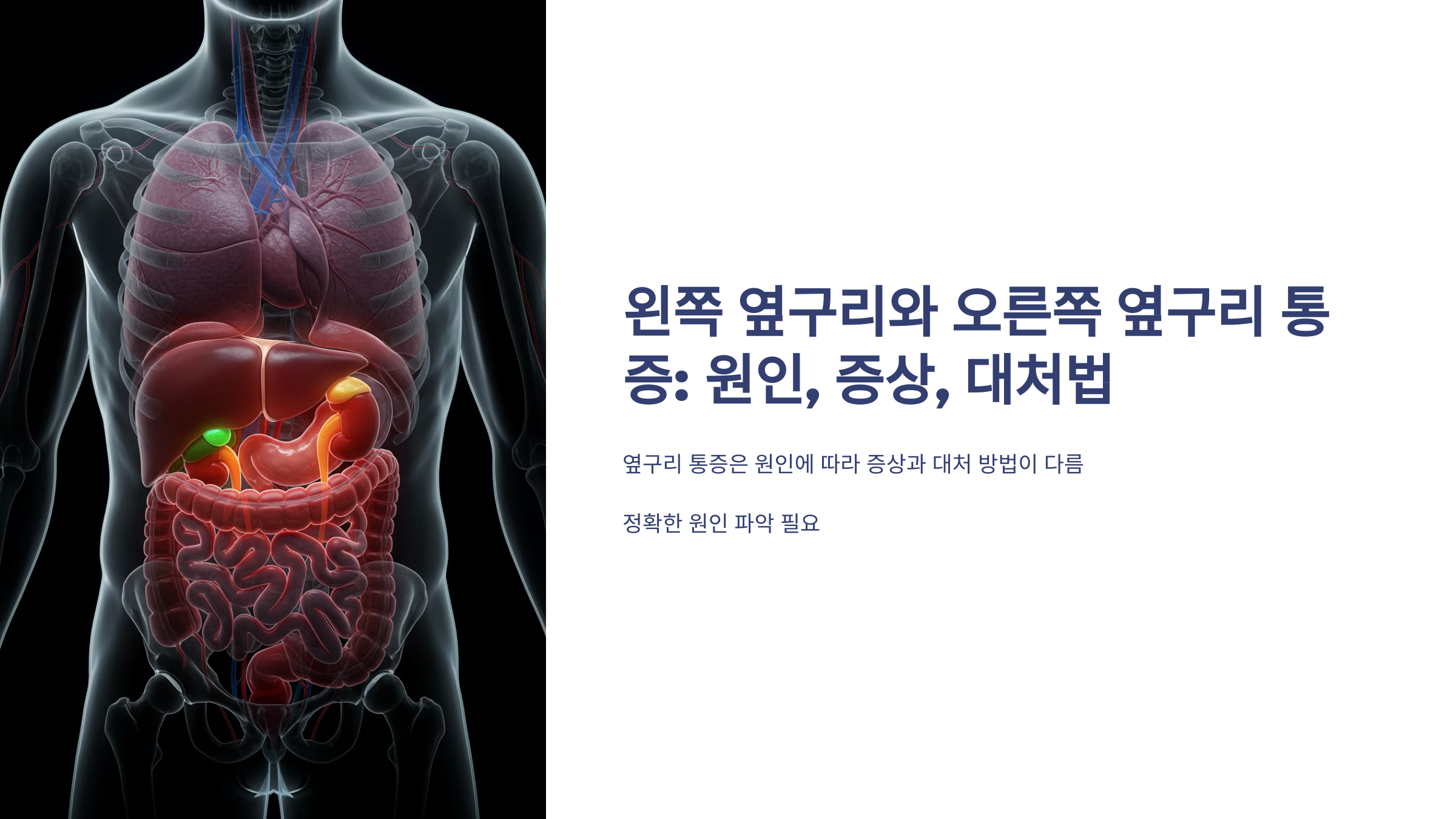 왼쪽 옆구리와 오른쪽 옆구리 통증: 원인, 증상, 대처법