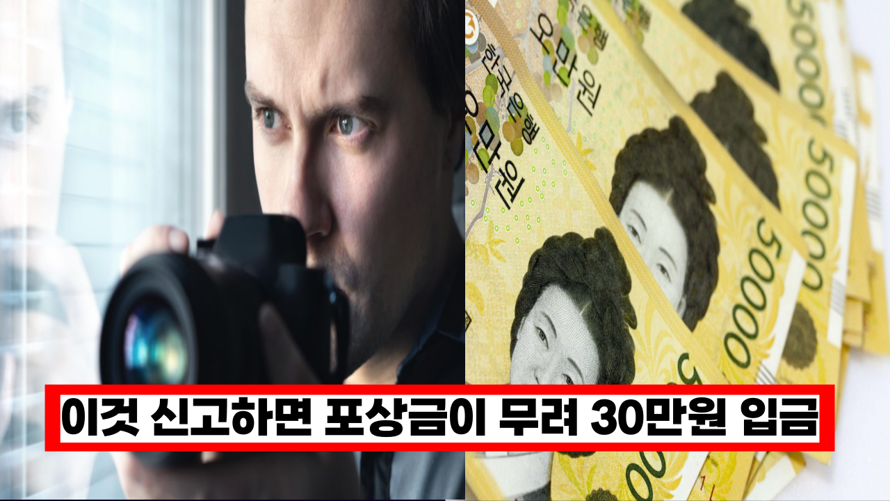  '이것 신고하면 포상금 30만원을 줍니다.' 6월 부터 집중 단속하는 교통 단속 5가지
