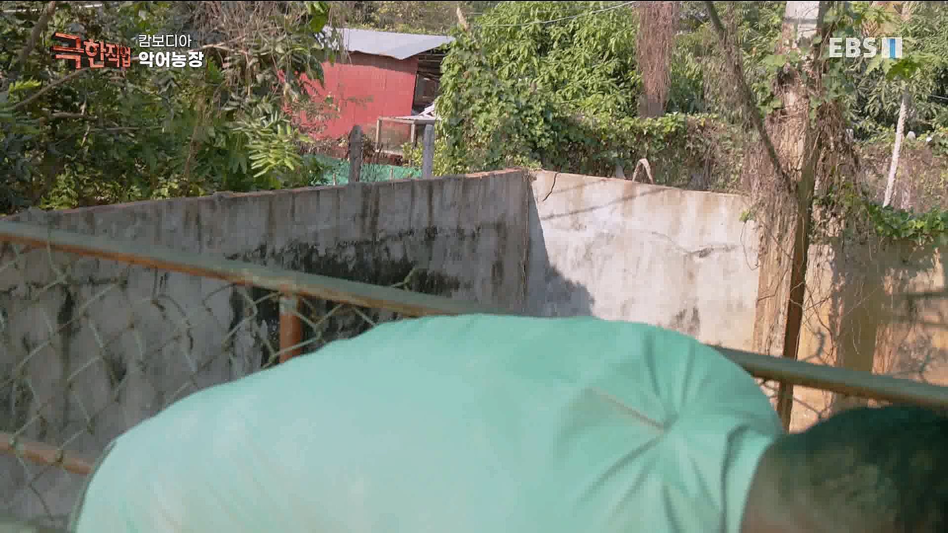 캄보디아 악어농장 230325.mp4_20230327_194953.417.jpg