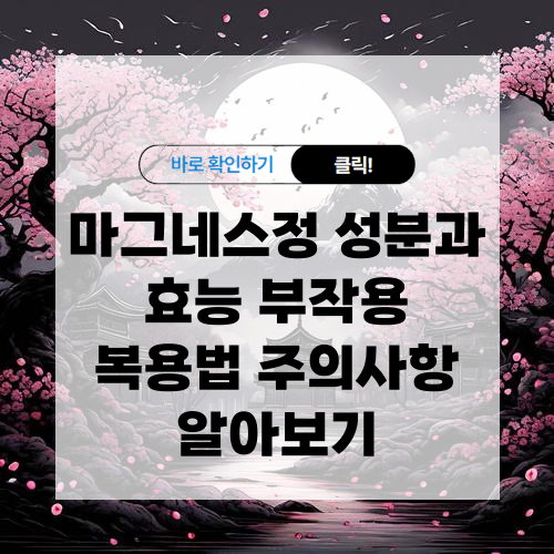 마그네스정 성분과 효능 부작용 복용법 주의사항 알아보기