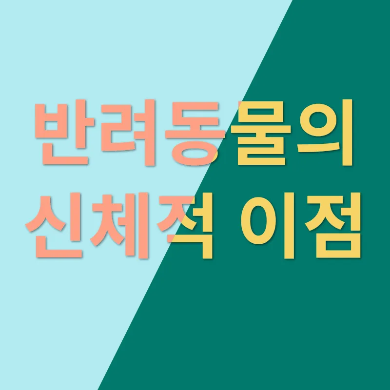 반려동물 입양_2