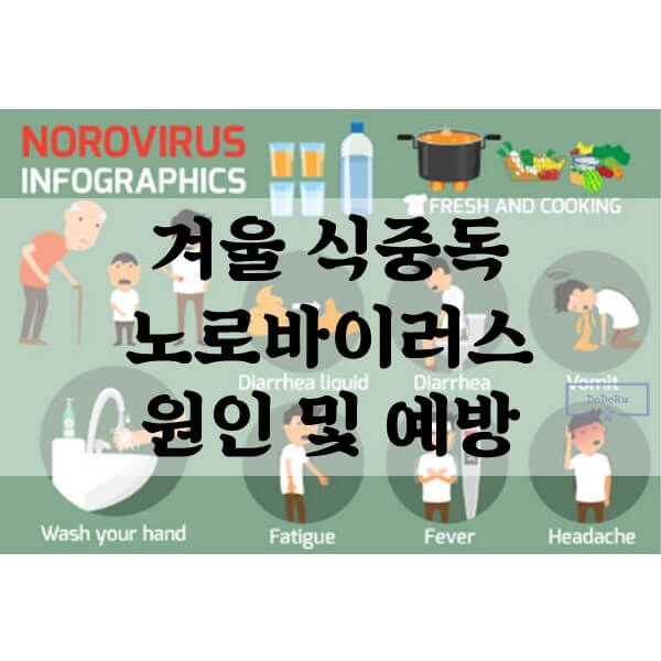 겨울-식중독-노로바이러스