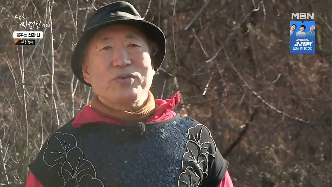 나는 자연인이다.E534.221229p.H264-F1RST.mp4_20221229_200040.815.jpg