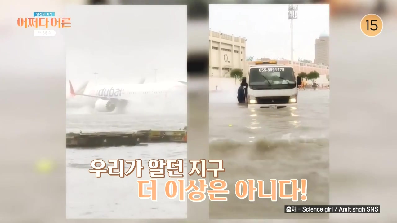 어쩌다 어른.E55.240508p-NEXT.mp4_20240508_202538.541.jpg