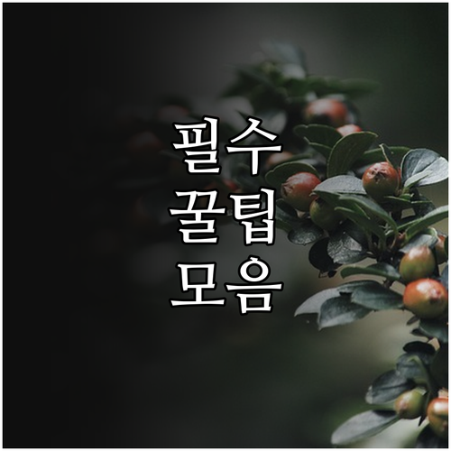 항문 통증 완화제, 제대로 알고 사용