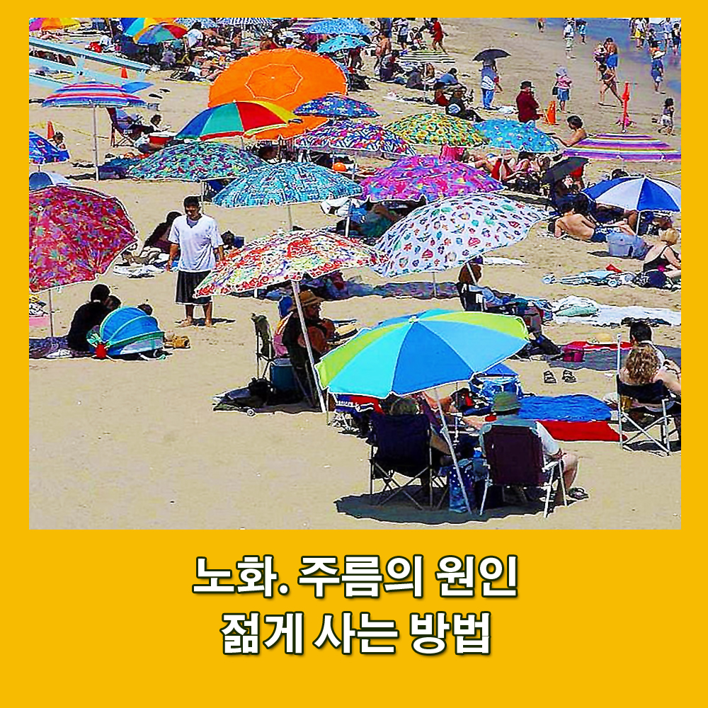  노화.노화의 원인.주름의 원인.자외선