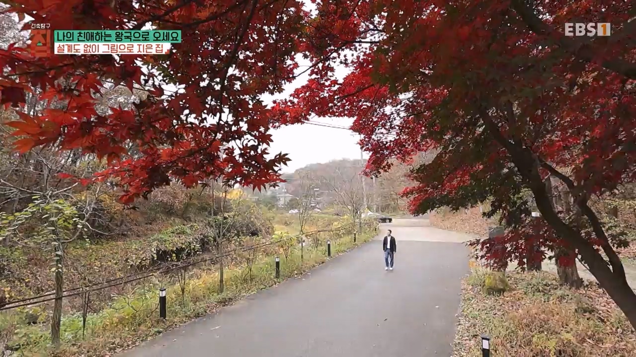 TV - 전 국민의 평생학교 EBS나의 친애하는 왕국으로 오세요.mp4_20240117_195029.296.jpg