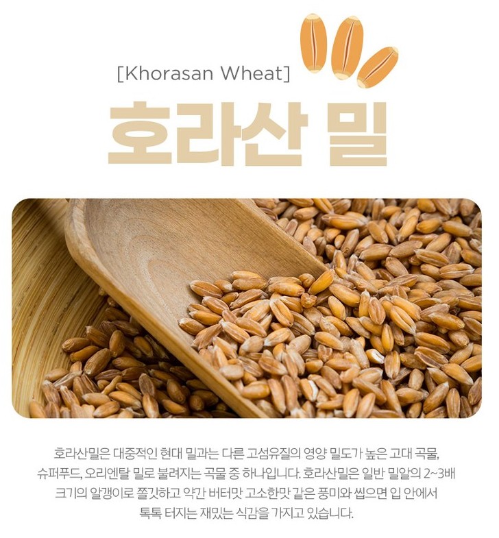  당뇨와 비만 효능 카무트 싸게 파는 곳