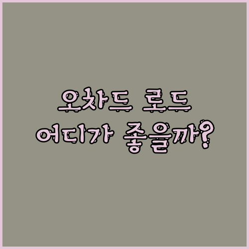 오차드 로드 럭셔리 호텔 격전지 팬 