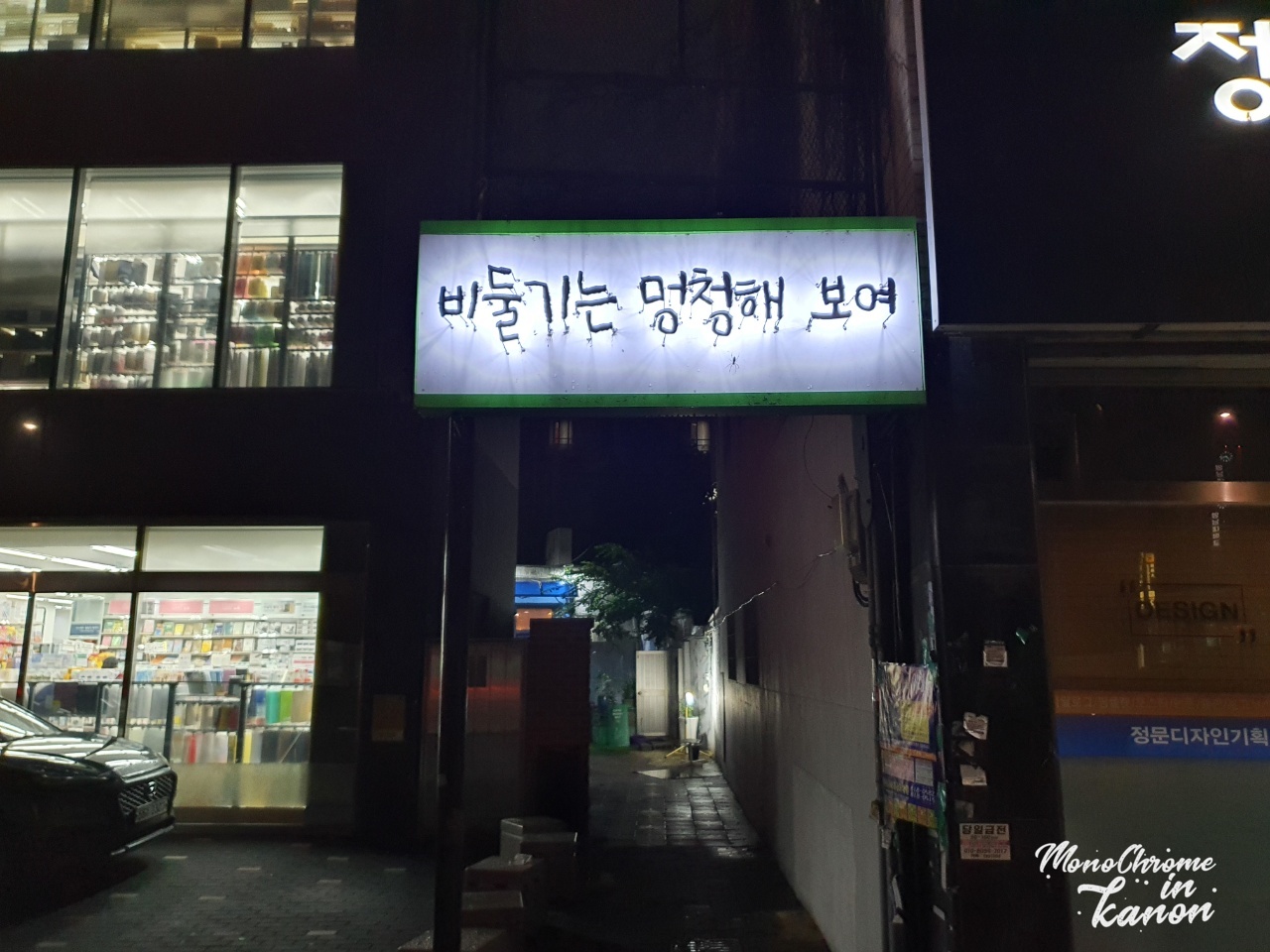 비둘기는멍청해보여 이미지