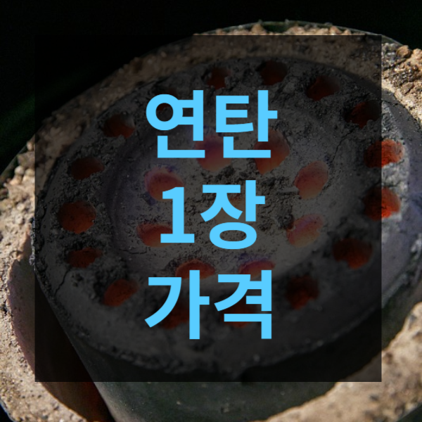 연탄1장가격&#44; 저소득층연탄쿠폰