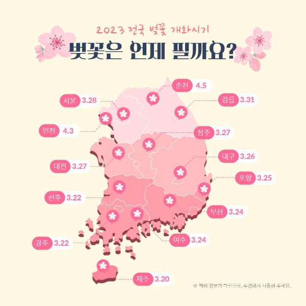 2023년 벚꽃 축제