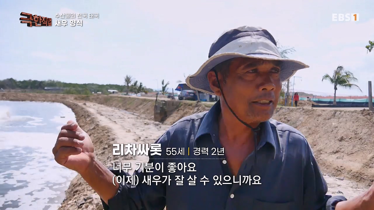 TV - 전 국민의 평생학교 EBS수산물의 천국 태국, 새우 양식과 말린 생선.mp4_20240604_201803.055.jpg
