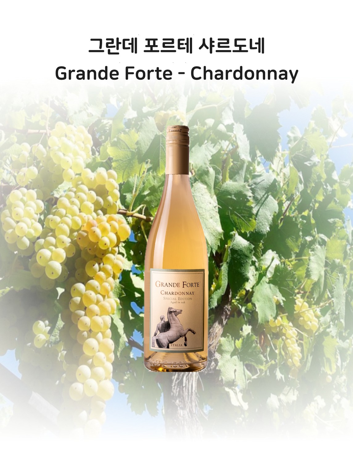 그란데포르테샤르도네