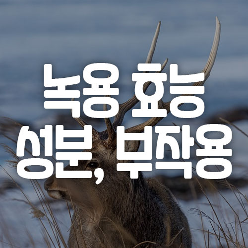 녹용 효능 성분 부작용